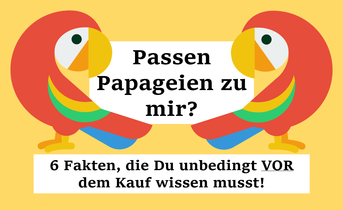 Welche Papageien passen zu mir?